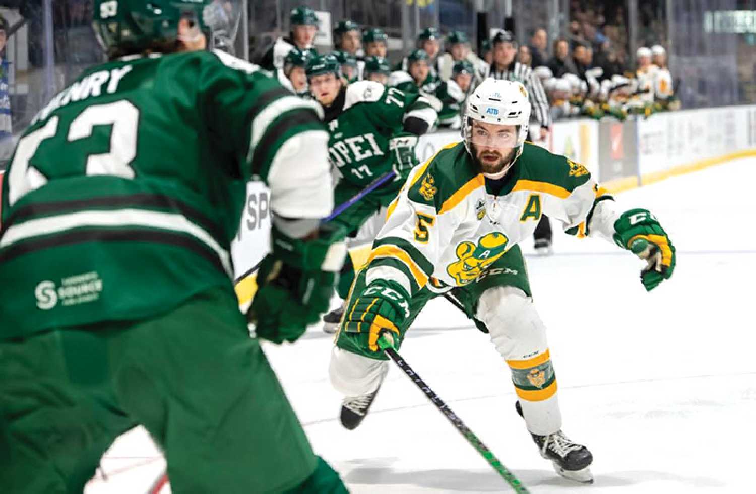 Moosomin’s Dawson Davidson spent four years playing with the University of Alberta Golden Bears and is now playing with Rungsted Seier in Denmark.